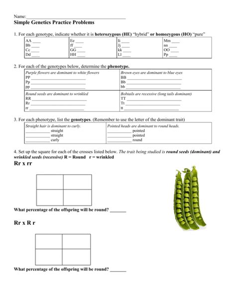 Genetics Practice Problems Simple Worksheet Pin On Printable Blank