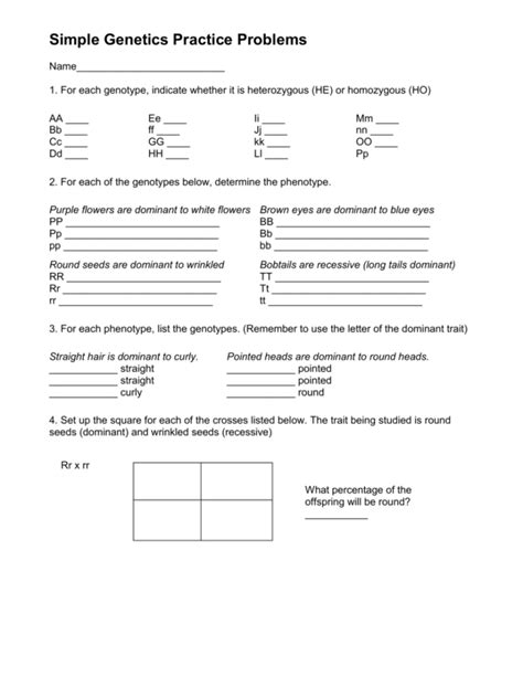 Genetics Practice Problems Worksheet Answer Key — db-excel.com