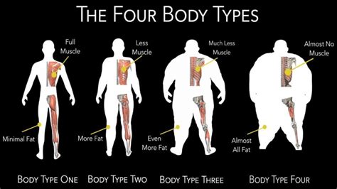 Genetics and Body Type