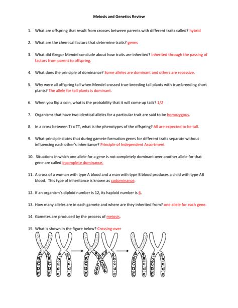 th?q=Genetics%20study%20guide%20PDF%20answer%20key - Genetics Study Guide Pdf Answer Key – Your Ultimate Guide To Success In 2023