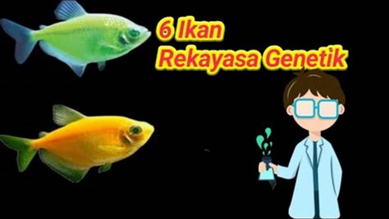 Genetika, Ikan Hias