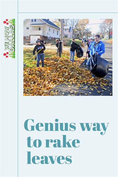 Genius Way To Rake Leaves