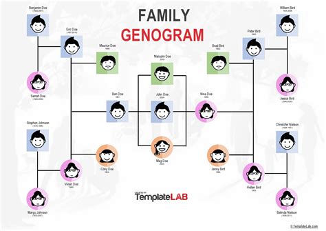Genogram Family Tree Template