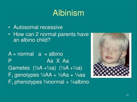 Genotipe Albino: Bermacam-macam Kelebihan dan Kekurangan