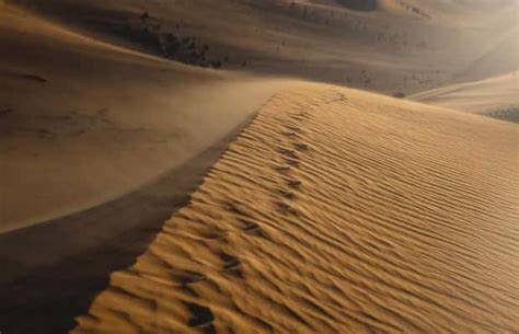 Gentle Sands Desert Experience