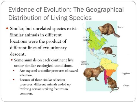 Geographical Distribution of Genetic Variations