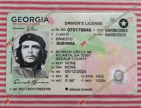 Georgia Doctor License Search