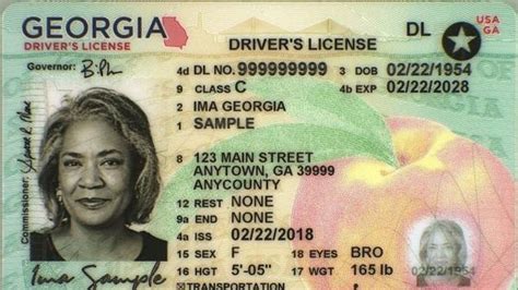 Georgia Driver License