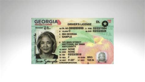Georgia State Driver's License