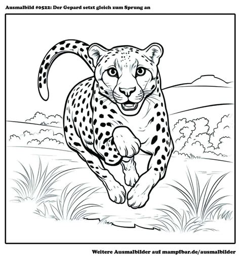 Gepard Ausmalbild