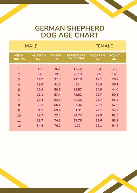 German Shepherd Age Chart