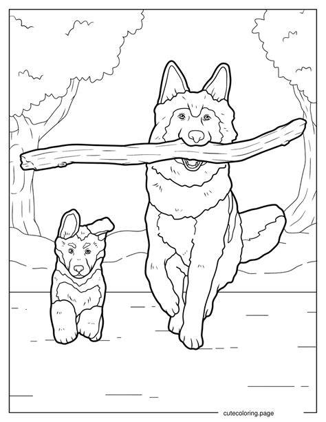 German Shepherd Coloring Page