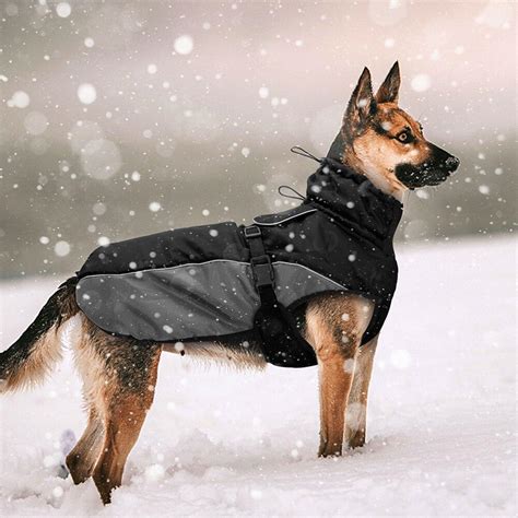 German Shepherd Dog Clothes