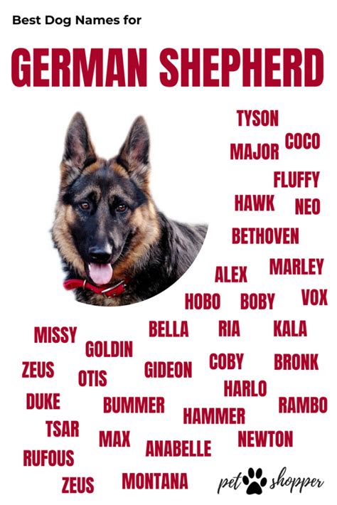 German Shepherd Dog Names