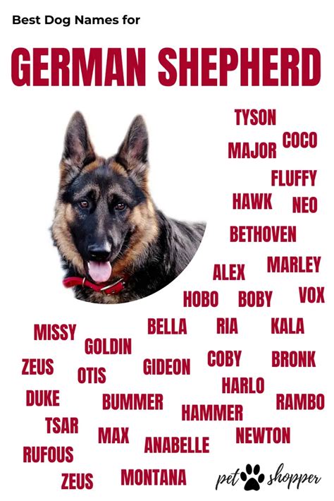 German Shepherd Dog Names In India