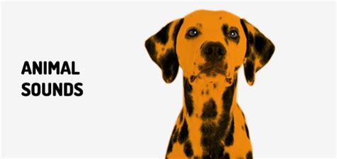 German Shepherd Dog Sound