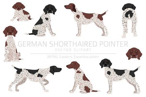Download German Shorthaired Pointer Dog For Crafts