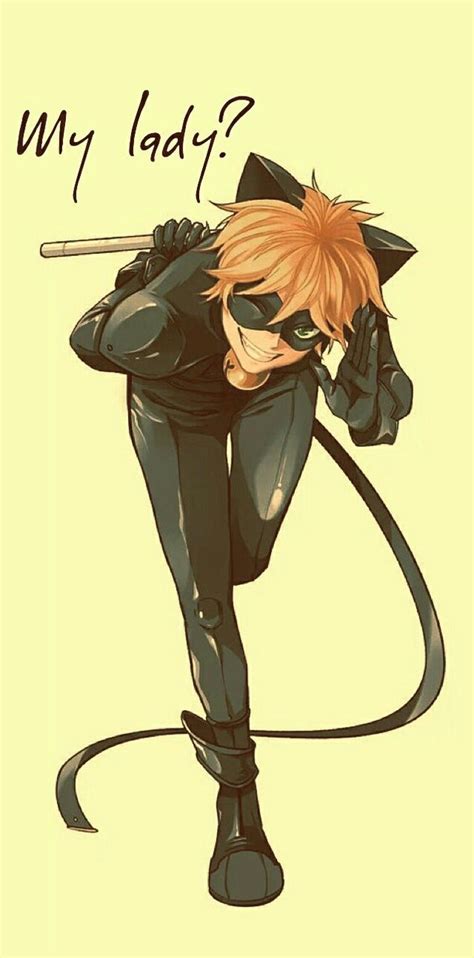 Get Creative With Your Anime Cat Noir Wallpaper