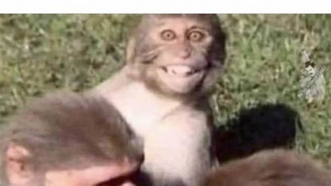 Get Ready To Add Some Humor., Images