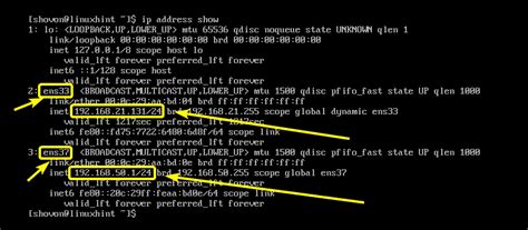 Get IP address of an interface on Linux