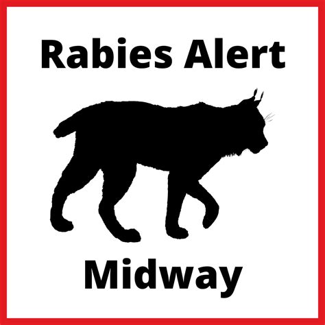 Get Inspired For Alert Rabies Found In Minnesota