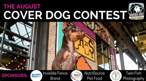 Get Inspired For August Cover Dog Contest