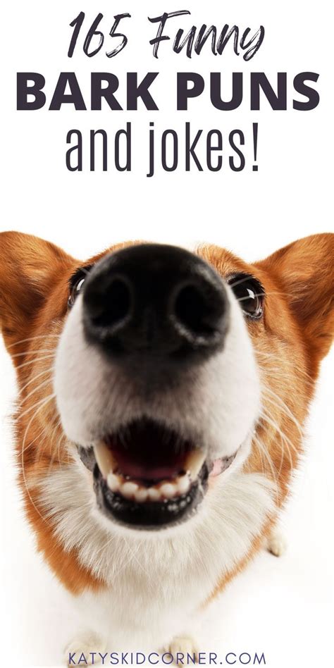 Get Inspired For Bark Jokes
