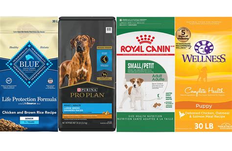 Get Inspired For Best Dog Food Which