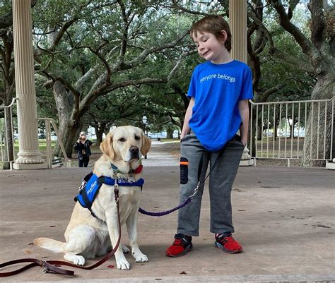 Get Inspired For Best Dog For Autistic Child