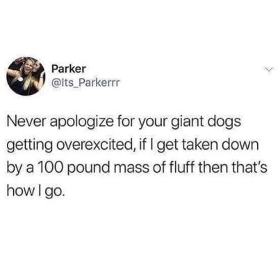 Get Inspired For Bestdogmemes Feb 8 2018