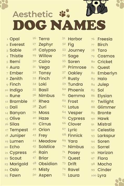 Get Inspired For Different Dog Names