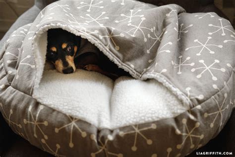 Get Inspired For Dog Burrow Bed