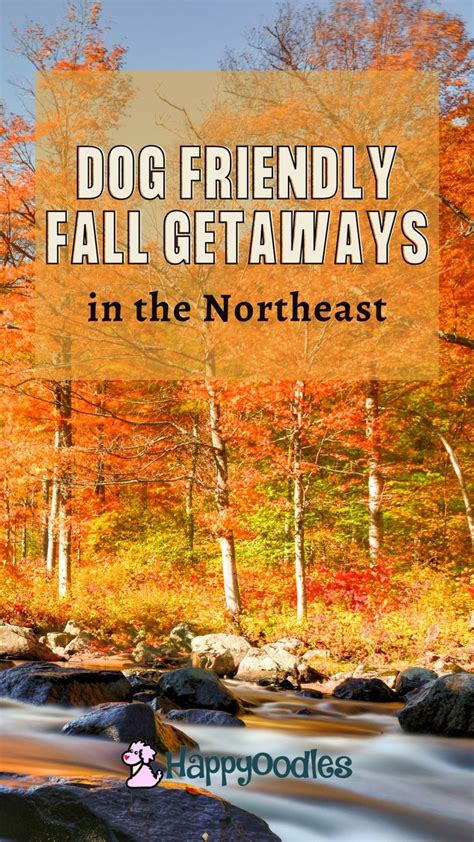 Get Inspired For Dog Friendly Fall Getaways