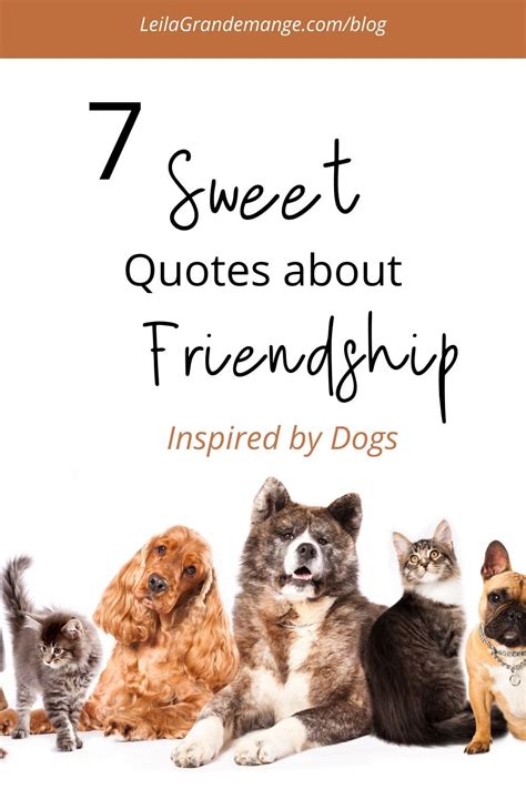 Get Inspired For Dog Friendship