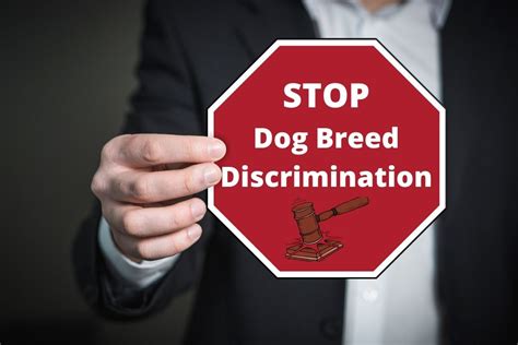 Get Inspired For Dog Insurance Discrimination 2