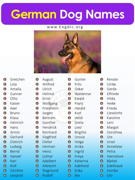 Get Inspired For German Dog Names Male