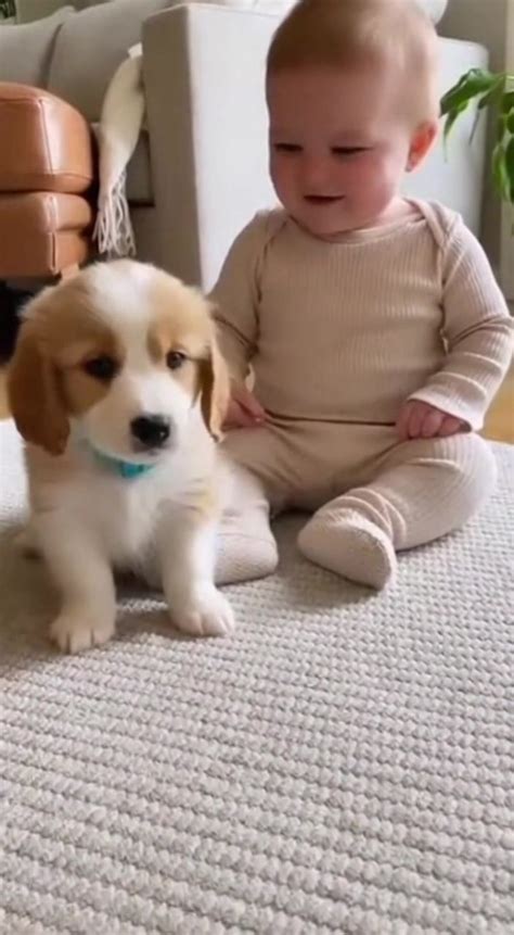 Get Inspired For Happiest Puppy