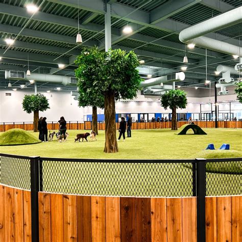 Get Inspired For Indoor Off Leash Dogs Mn 2