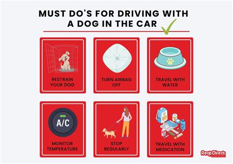 Get Inspired For Laws About Dogs In Cars