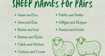 Get Inspired For Sheep Dog Names