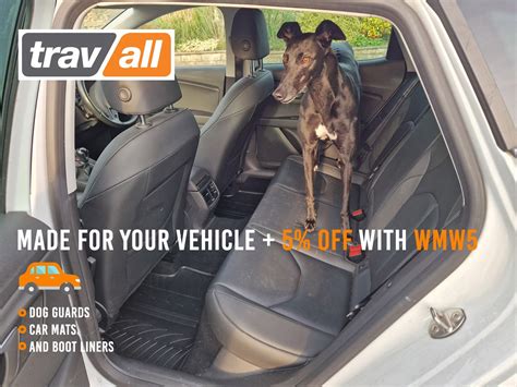 Get Inspired For Travall Dogs Review