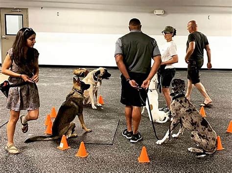 Get Inspired For Unique Dog Training Classes