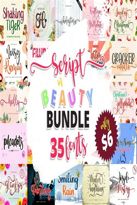 Download Get The Mega Script Font Bundle Pics Cut Images