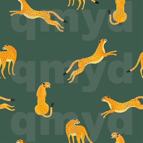 Download Get Weather Patterns Design Bundle Background Commercial Use