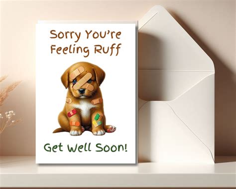 Get Well Dog Meme