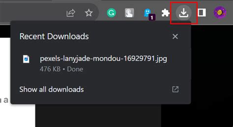 Get the Old Chrome Download Notification Bottom Shelf Back!
