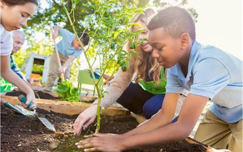 Getting Started With Planting In The Classroom