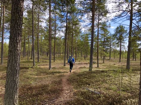 Getting Around HaparandaTornio