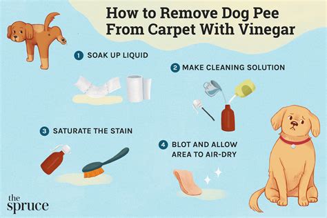 Getting Dog Pee Out Of Carpet