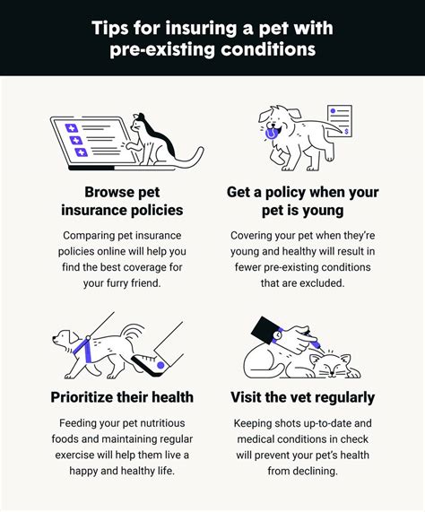 Getting Pet Insurance After Injury